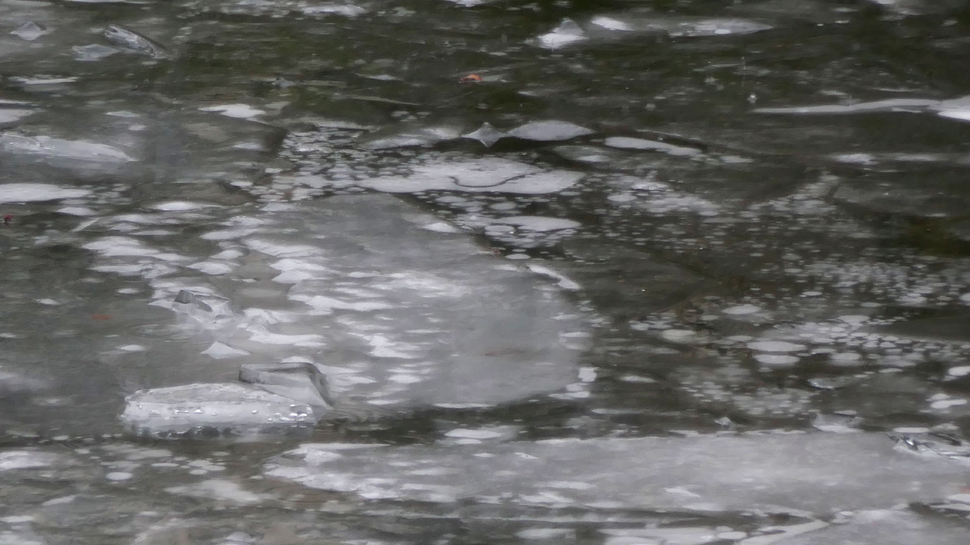 2024-01-22 Schneeschmelze (Audio)